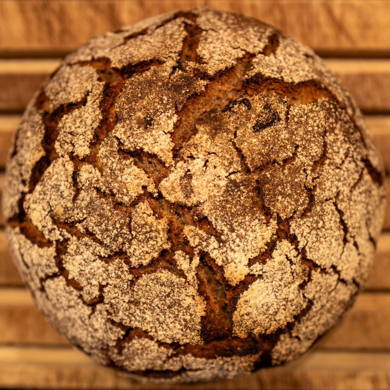 Walliser Roggenbrot mit Aprikosen und Walnüssen